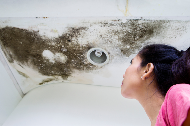 Is Mold Removal Covered By Insurance?