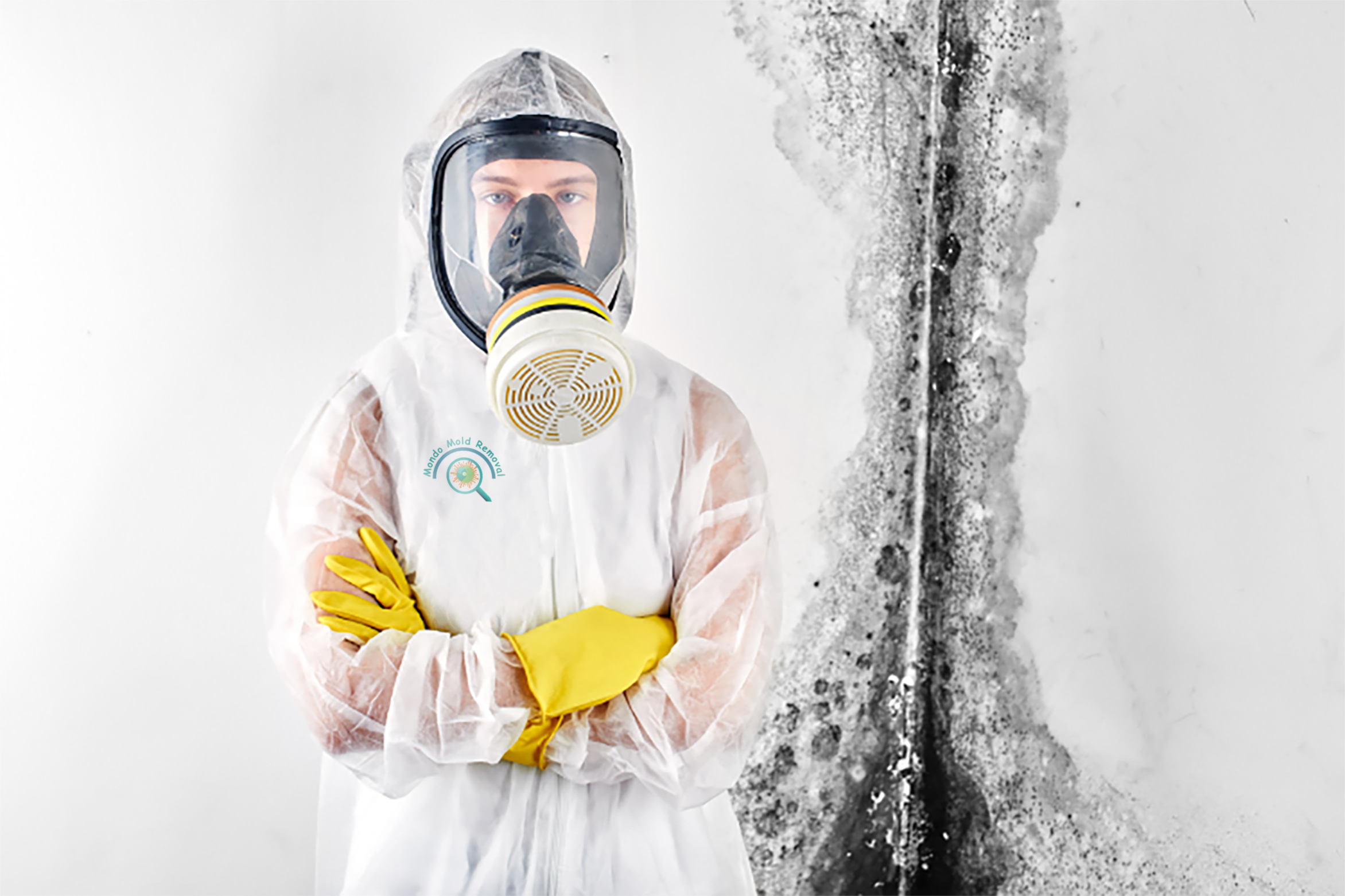 mold removal employee