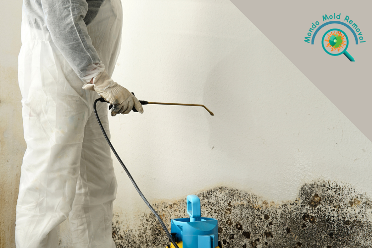 disinfecting mold