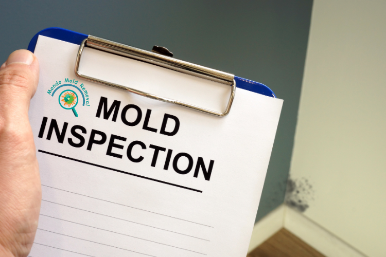 mold inspection 